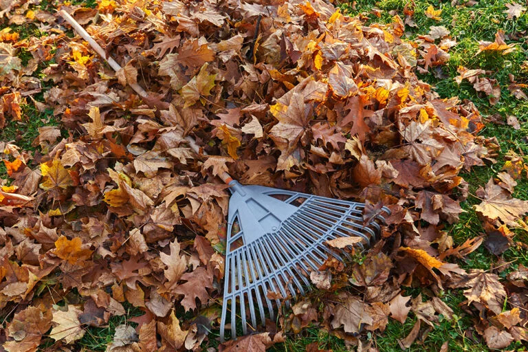 Een fijne buurt begint in de tuin